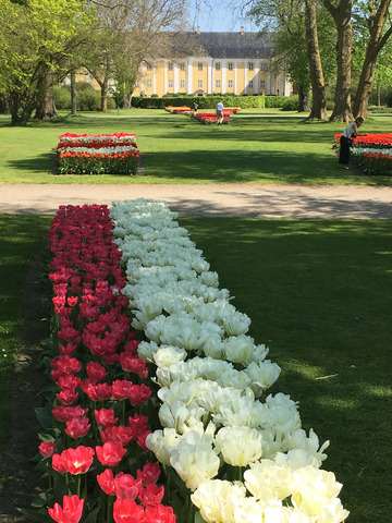 Gavnø Slotspark - Tulipanfestival