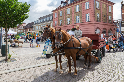 Tirsdagsmarked hestevogn, 2016