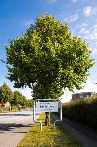 Sønderborg byskilt med universitetsbyen 0009