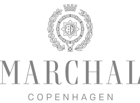 MARCHAL Logo Grey 2