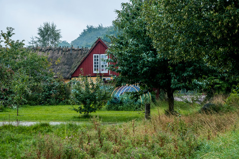 Ringsted Kommune (10)