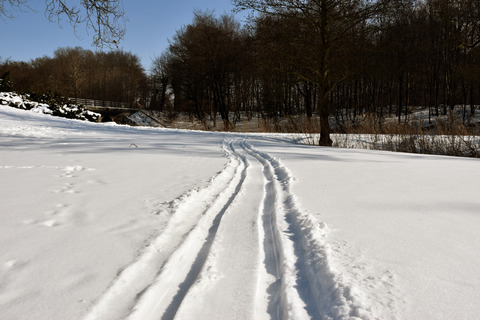 Kælkespor i sneen