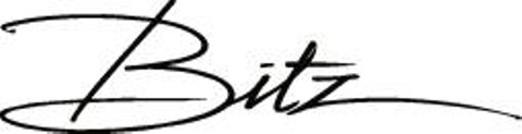 Bitz logo pos cmyk