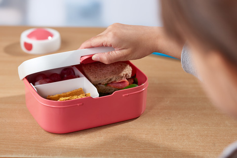 Lunchbox Roos c