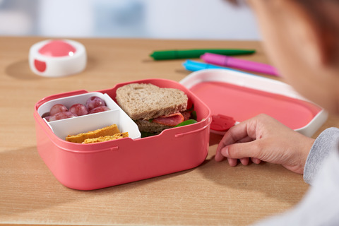 Lunchbox Roos e