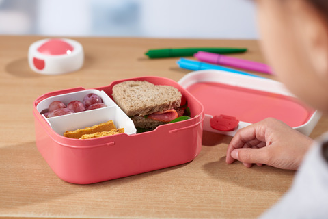Lunchbox Roos f
