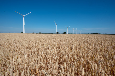 Kornmarker og vindmøller Lyby (7)