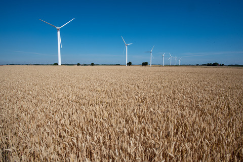 Kornmarker og vindmøller Lyby (2)