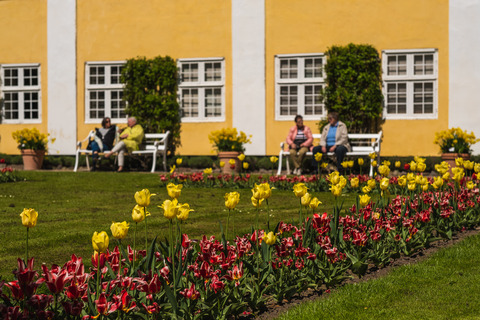 Tulipan festival på Gavnø Slot
