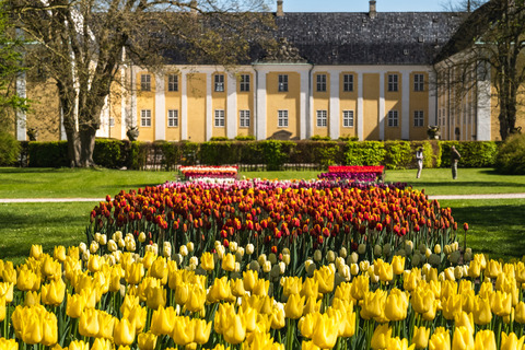 Tulipan festival på Gavnø Slot