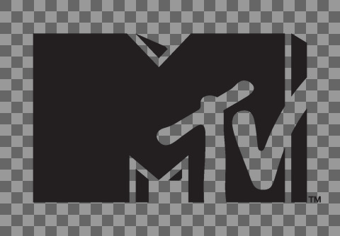 MTV_Logo_Guide