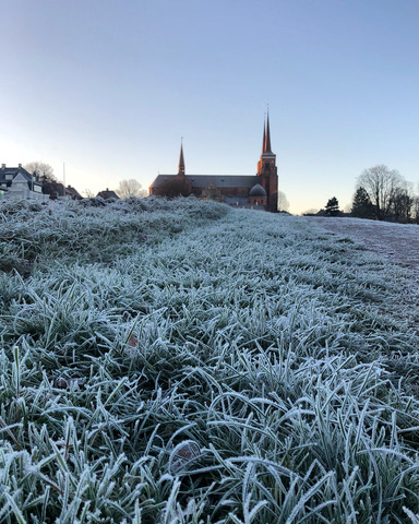 Roskilde domkirke vinter louise faber