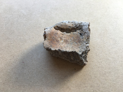 Foto 2 Fragment af lersive med bidmærke fra Lidsø Foto Museum Lolland Falster
