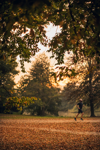 running in the park autumn