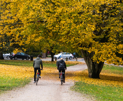 Autumn foliage bicyclists in park