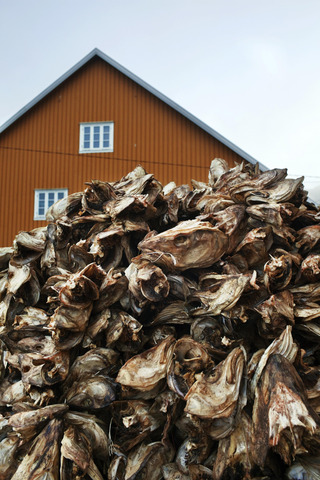 Dried fish heads