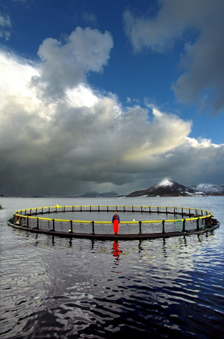 Salmon farming, Norway