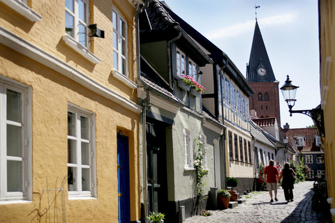 6700 Aalborg gamle bydel