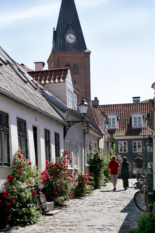 6701 Aalborg gamle bydel