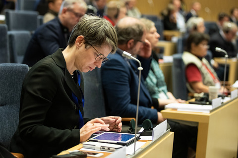 Nordic Council session 2019