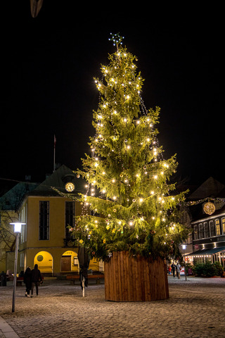 Julepynt på gågaden i Sønderborg 2019 0153