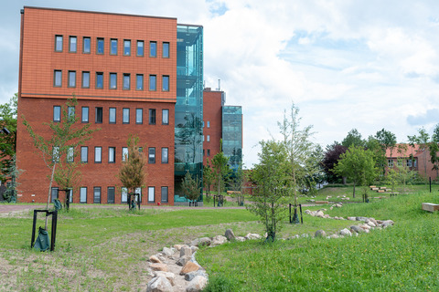 Sundhedshuset park (94 of 125) 2048px
