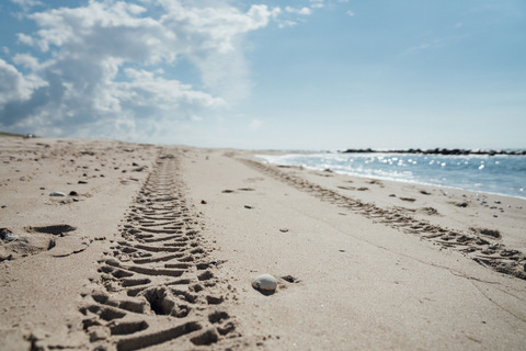 Træktorspor i sandet