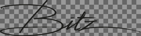 Bitz logo pos