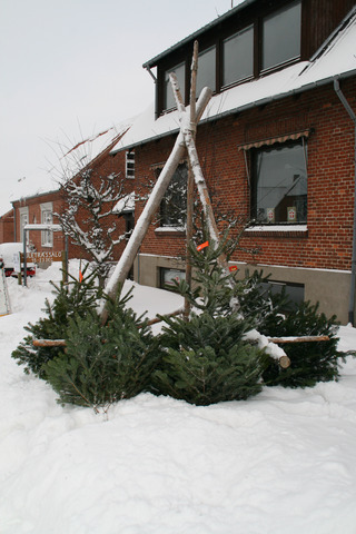 Juletræ 2010