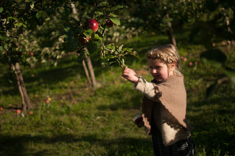 Æbleplantage