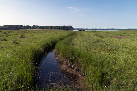 Danish Coastline Landscape