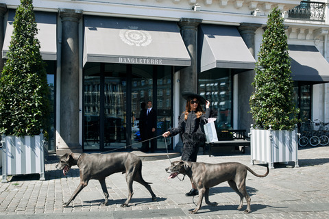 34 model outside hotel with Great Danes shopping .jpg
