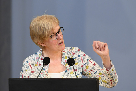Heike Sudmann (LINKE)