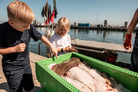 ©FlyingOctober Nordvestkysten fisketema sommer 2021 2956