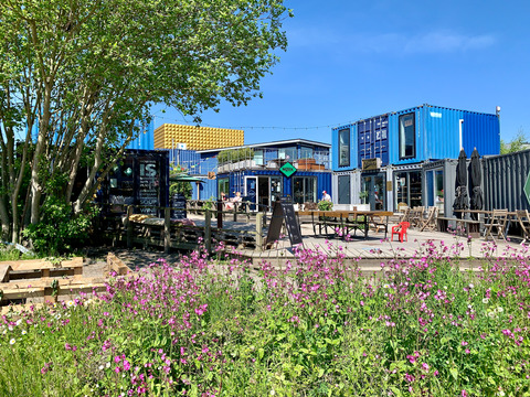 Containerstriben blomster maj 2021