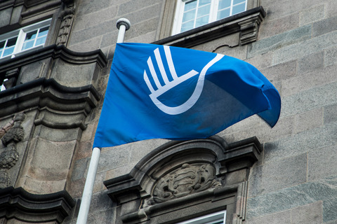 Flag with logo