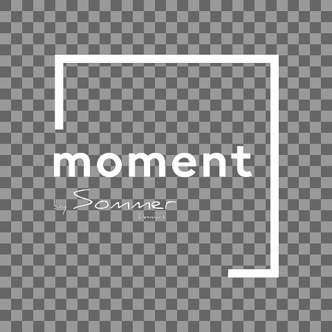 moment logo hvid fritskrabt
