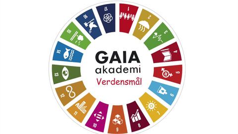 Verdensmål 8, Gaia Akademi