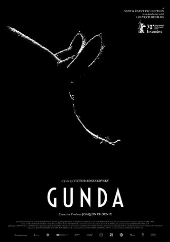 Poster from GUNDA - Victor Kossakovsky, Norway
