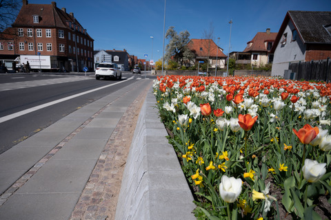 Resenvej blomster renovering vejarbejde (72)