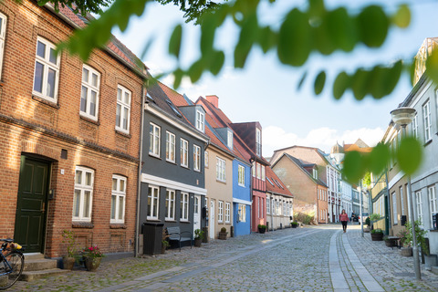 Horsens-fugholm-historic-centrum-destination-kystlandet-2020