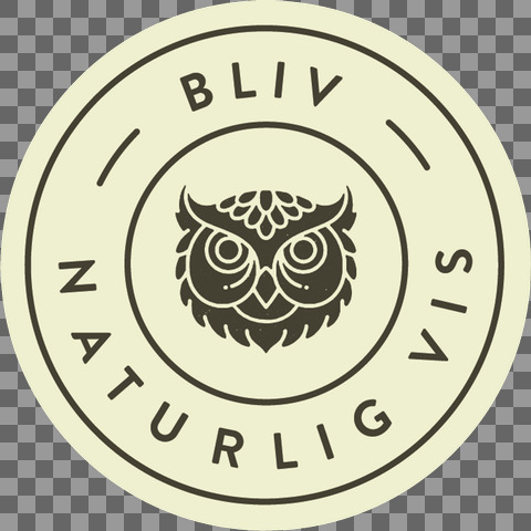 BNV Logo lys grøn