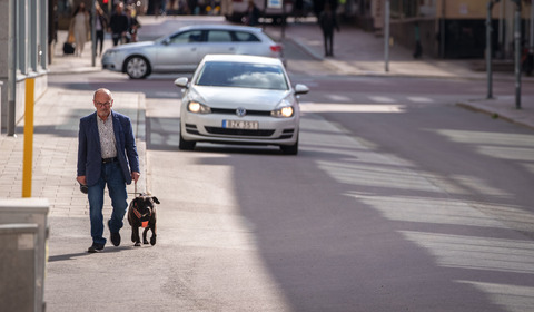 Man walking the dog