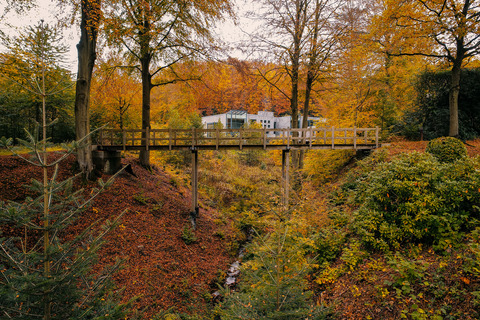 Drone natur park efterår Bedstemors bro Hotel Vejlefjord