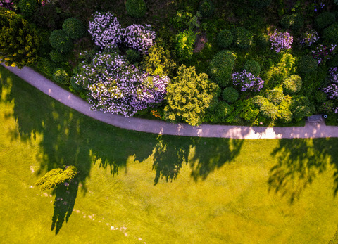 Drone park kurvej rhododendron sommer Hotel Vejlefjord