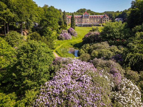 Drone park rhododendron Hotel Vejlefjord