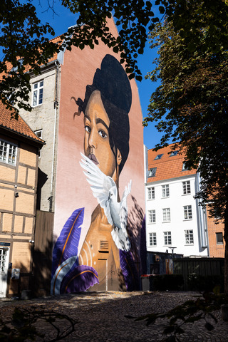 Street art - Frida Stiil Vium - Jomfru Ane Gade 16, Aalborg