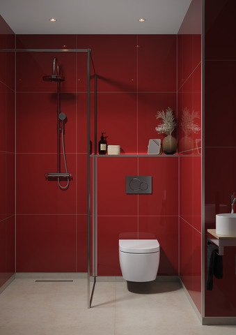 2101 Red M6060 Bathroom 2 1