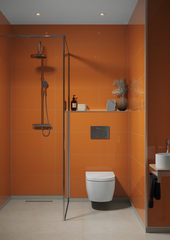 2122 Orange M6030 Bathroom 2 1