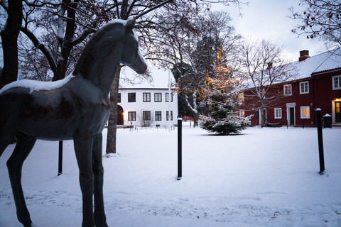 Gjøvik gård snø 6